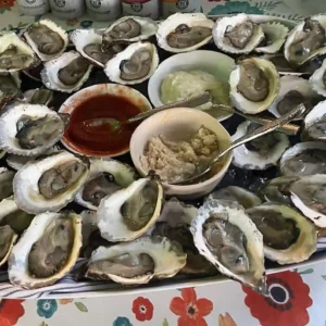 100 Oysters