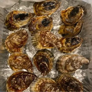 A dozen fresh oysters served on a platter, perfect for seafood lovers.